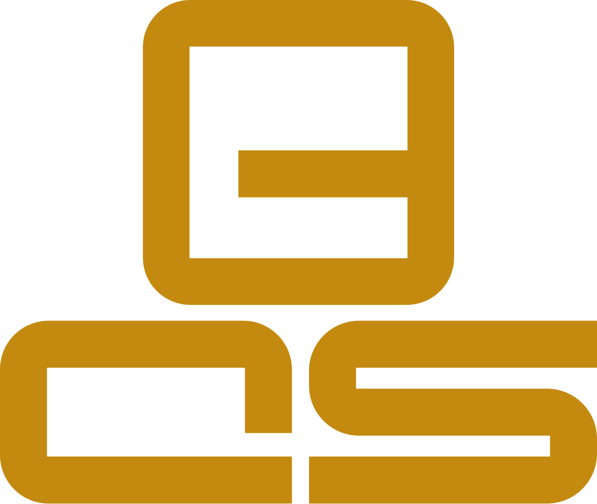 Member of Bangladesh Computer Society