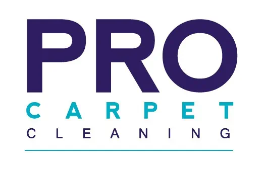 Pro Carpet Cleaning